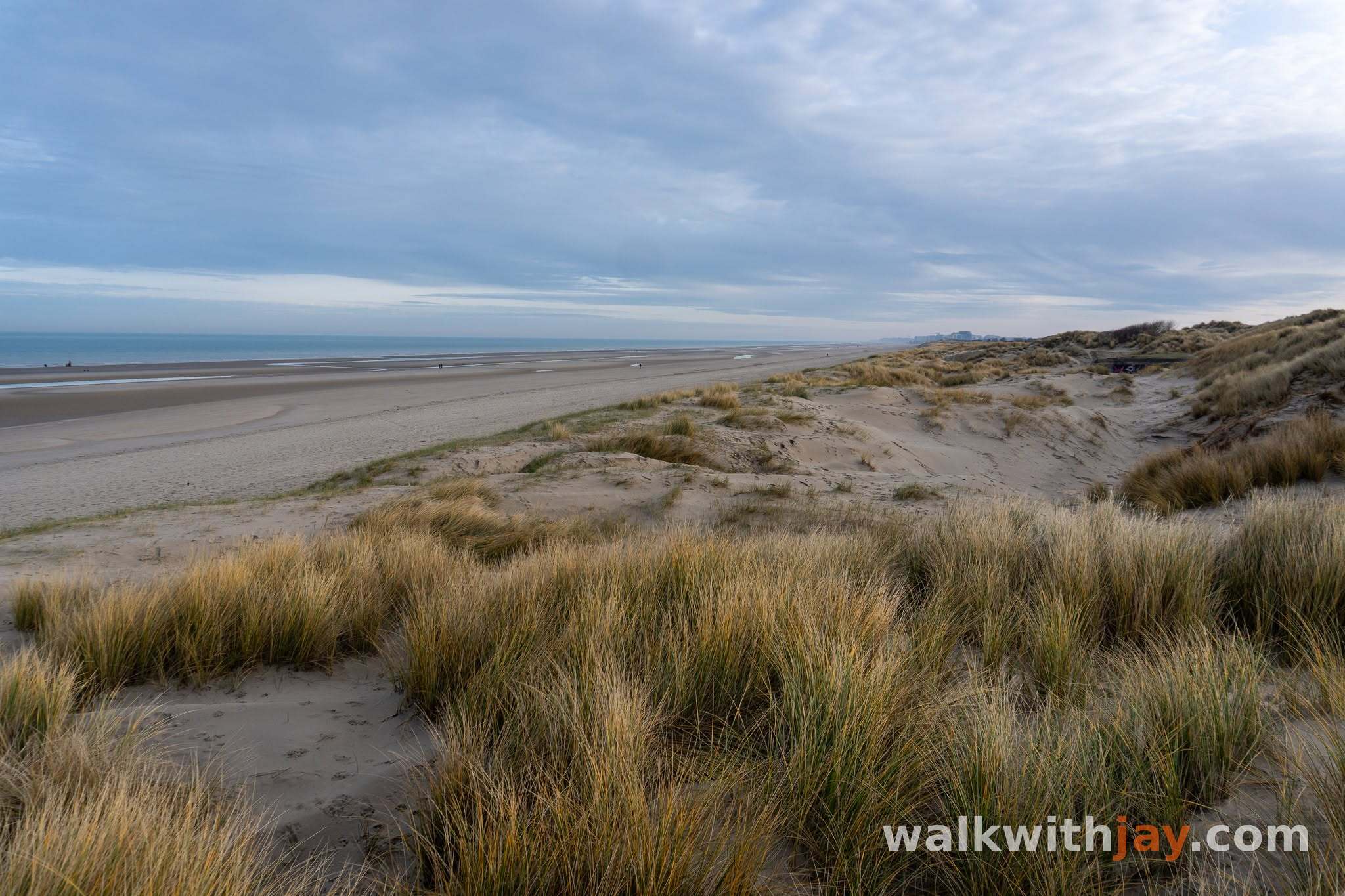 Through the Border Dunes