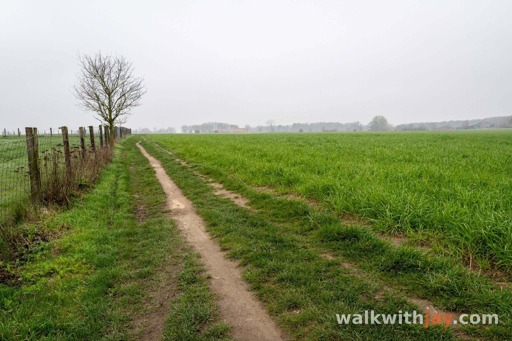Hill 60 – Bois de Zillebeke