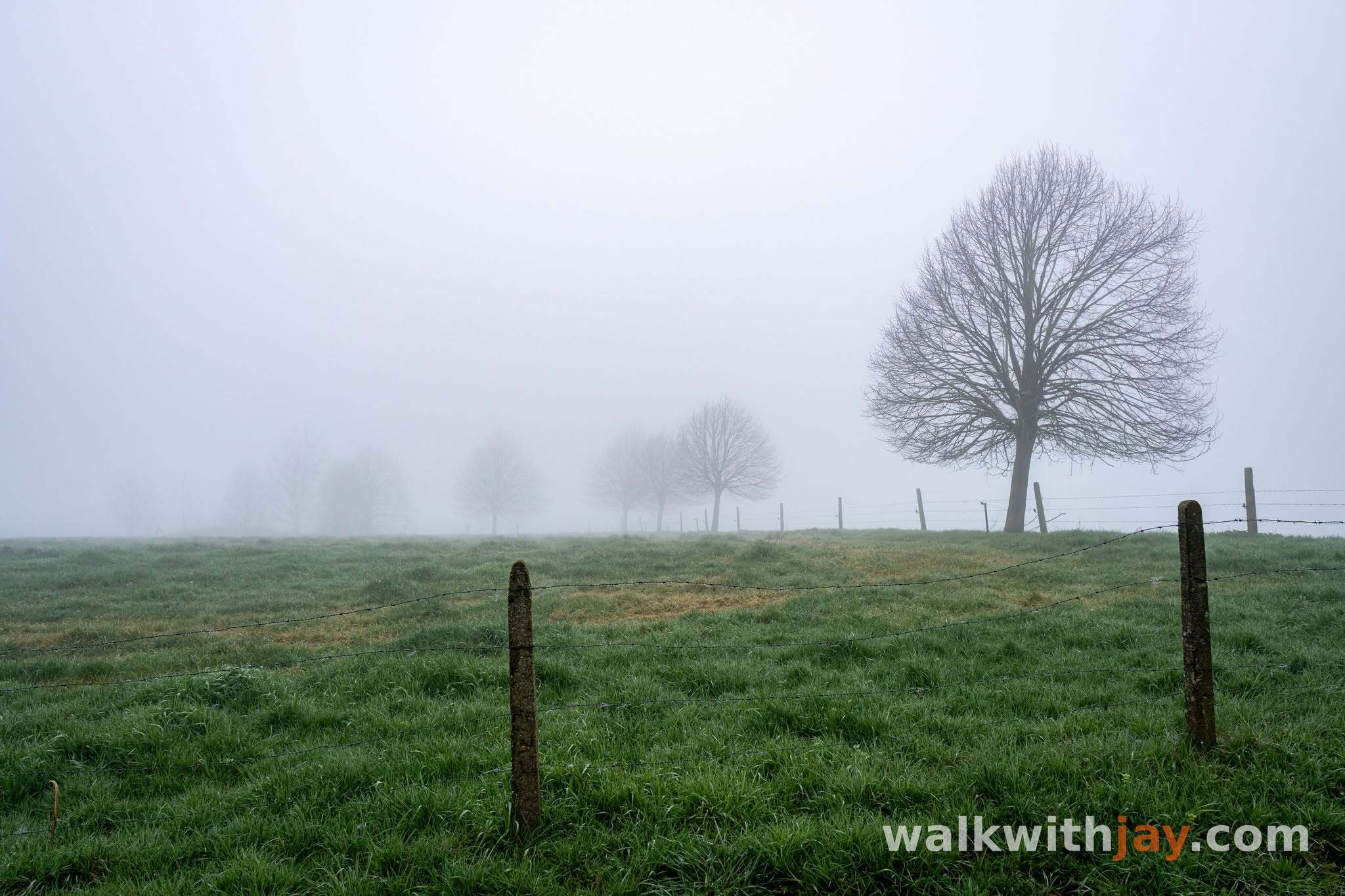 Kemmel Junction Walk