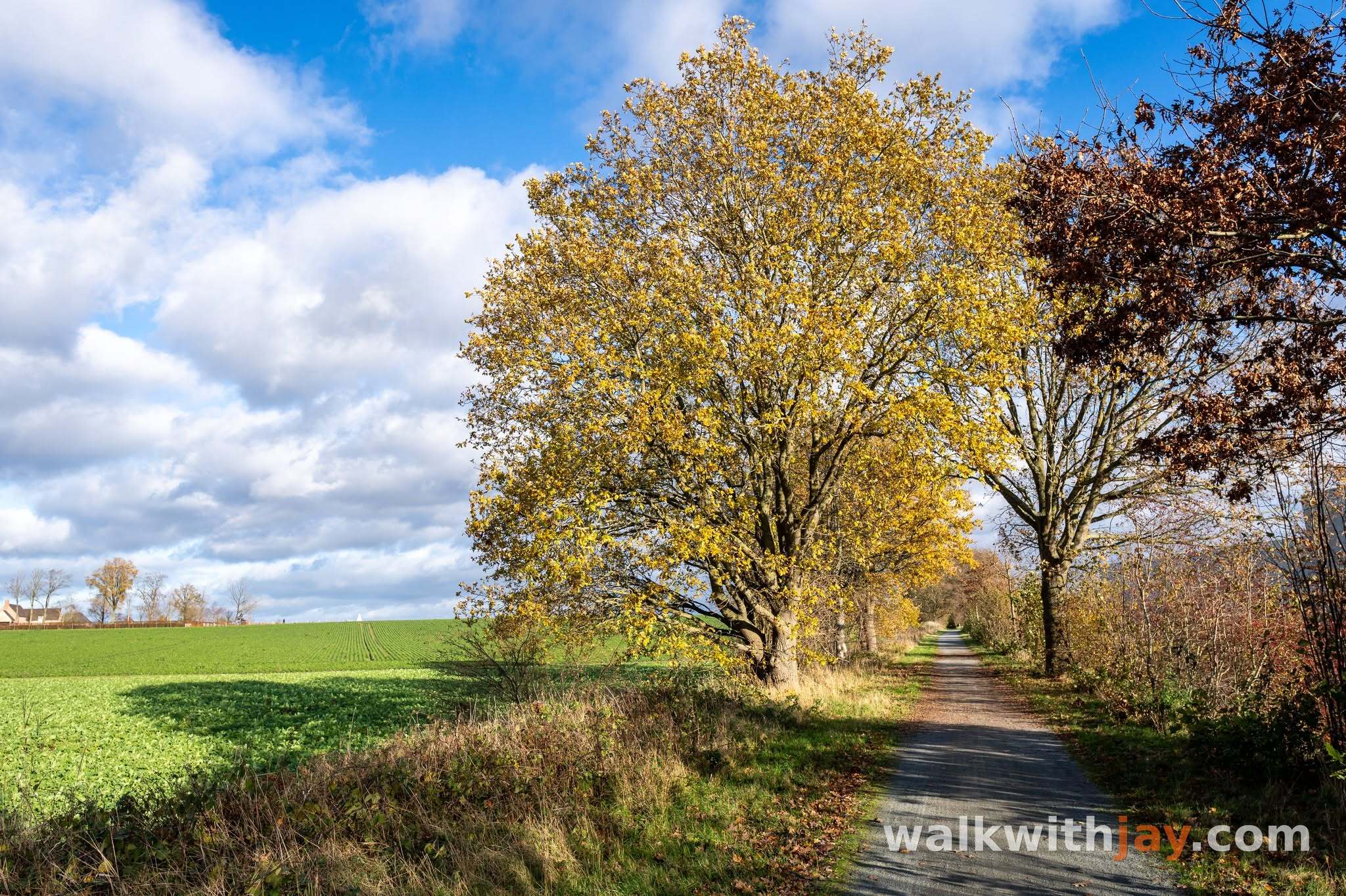 Pionier wandelroute